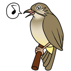 [LINEスタンプ] Streak-eared bulbul bird