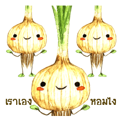 [LINEスタンプ] Onion and his veggie's friends