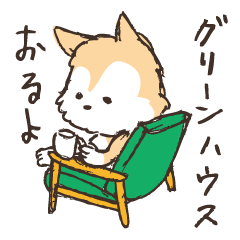 [LINEスタンプ] 神戸カフェ犬とらきち