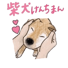 [LINEスタンプ] 柴犬けんちまん