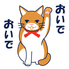 [LINEスタンプ] ネコな日常