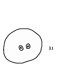 [LINEスタンプ] こめつぶとうしねこ