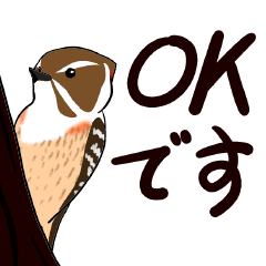 [LINEスタンプ] 野鳥のスタンプ