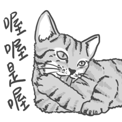 [LINEスタンプ] Annoying Cat - Mifuの画像（メイン）