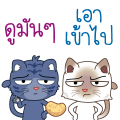[LINEスタンプ] Two cats are talking