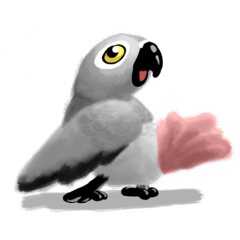 [LINEスタンプ] SoftParrots (African Greys)