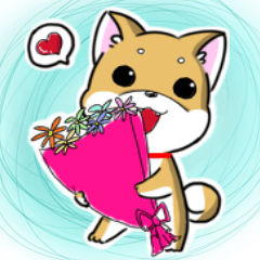 [LINEスタンプ] Shiba Inu_Q