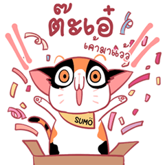 [LINEスタンプ] SUMO a chubby cat